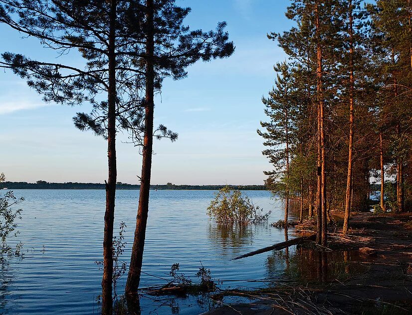 Озеро Селигер Городомля. Остров Городомля на Селигере. Озеро Селигер остров Городомля. Городомля остров на озере Селигер Тверская область.