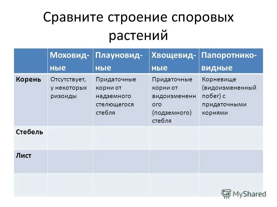 сравнительная характеристика папоротников хвощей и плаунов. высшие споровые растения характеристика. высшие споровые растения сравнительные характеристики. характеристика высших споровых растений таблица. характеристика высших споровых растений таблица.