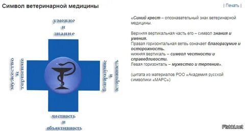 Вертикаль знаки