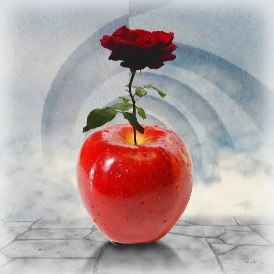Цветы и яблоко. Волшебное яблоко. Красивые розы и яблоки. Доброе утро яблочки. Красное добро