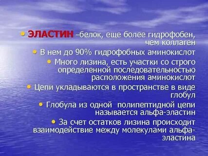 Эластины белки