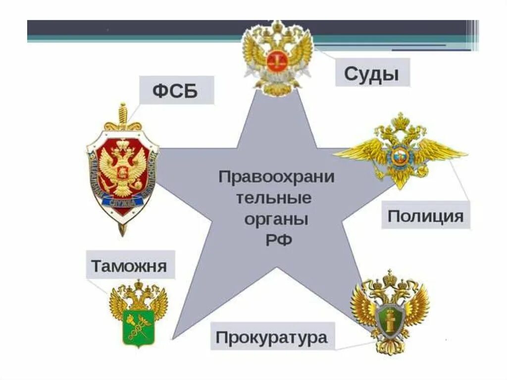 Эмблемы правоохранительных органов. Структура власти РФ правоохранительные органы. Иерархия правоохранительных органов РФ. Взаимодействие с правоохранительными органами.