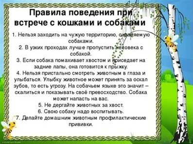 Окружающий мир. Наша безопасность 3 класс окружающий мир тест. Проверочная работа здоровье и безопасность. Тест по окружающему миру. Тест по окружающему миру 2 класс 3 четверть.