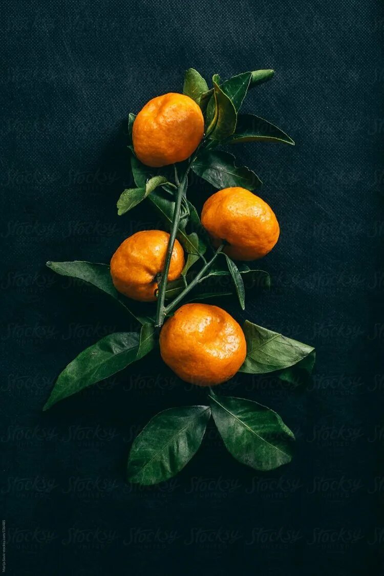 Темный мандарин. Мандарин Танжерин. Натюрморт с мандаринами. Апельсин на черном фоне. Эстетика мандаринов.