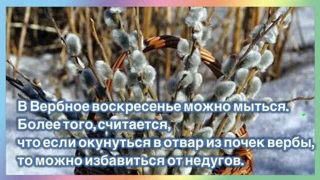 27 февраля праздник что нельзя делать. Что нельзя делать на Вербное. Снег на Вербное воскресенье приметы. Вербное воскресенье народный календарь. Вербное воскресенье что нельзя делать.