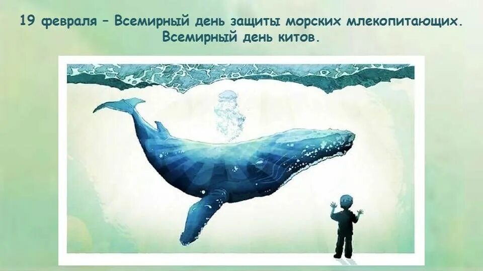 19 февраля день кита. День защиты млекопитающих 19 февраля. 19 февраля всемирный день защиты морских млекопитающих день кита. 19 февраля всемирный день защиты морских млекопитающих. 19 февраля всемирный день защиты морских млекопитающих день кита.