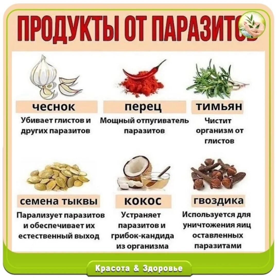 Продукты от паразитов. Продукты убивающие паразитов. Продукты от глистов. Народные средства от глистов продукты.