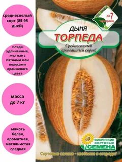 Дыня 10 5