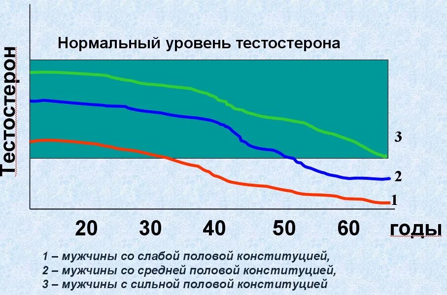 Возрастная таблица уровня тестостерона. Норма уровня тестостерона у мужчин в зависимости от возраста. Уровень тестостерона у мужчин график. Зависимость тестостерона от возраста. Почему с возрастом снижается