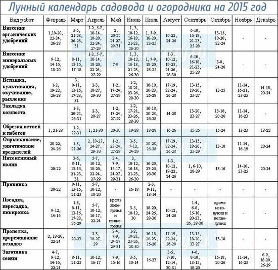 Сегодня какой лунный день по календарю 2024