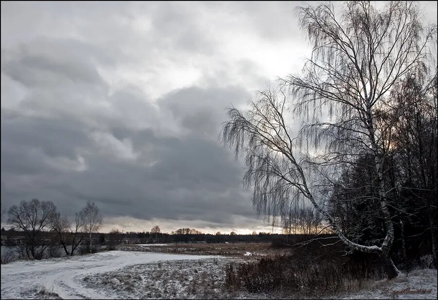 Припорошило снегом. Лес припорошенный снегом. Запорошила зима. Первый снег запорошил.