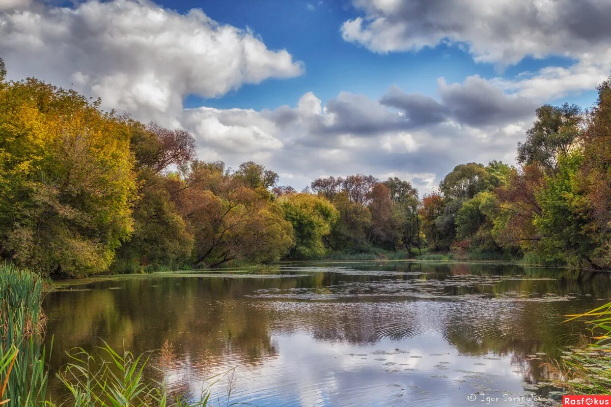 белгород река. старый оскол река оскол. белгород парк победы везелка. река оскол волоконовка. набережная реки везелка белгород.