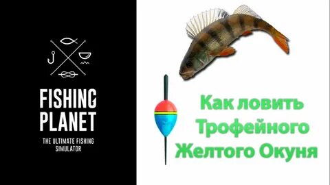 Поймай желтого