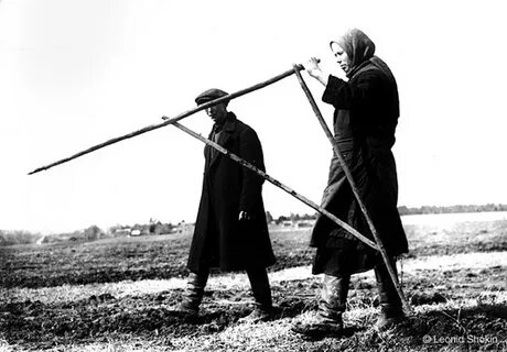 Земельный вопрос 1917
