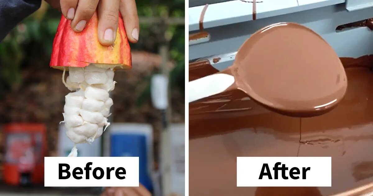 Chocolate make from cocoa пассивный. Chocolate maker before becoming a chocolate maker sam. &quot;my chocolate maker&quot; kiddie chef. my chocolate maker.