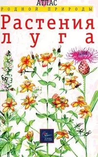 Методическое пособие луговые цветы