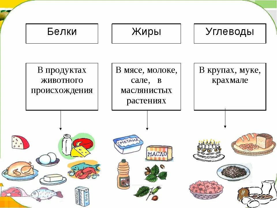 Наше питание 3 класс окружающий мир конспект. Питательные вещества белки жиры углеводы схема. белки жиры углеводы витамины окружающий мир 3 класс. белки жиры углеводы 2 класс окружающий мир. питательные вещества в продуктах питания.