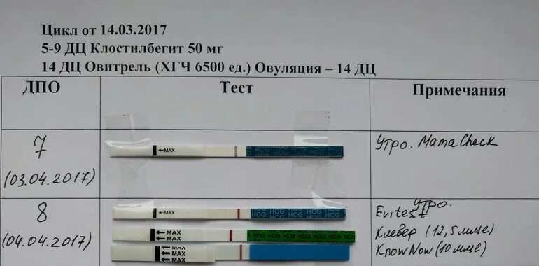 Тест на ХГЧ. ХГЧ тест на беременность. Тест на беременность на 8 день после зачатия. Результаты теста ХГЧ.