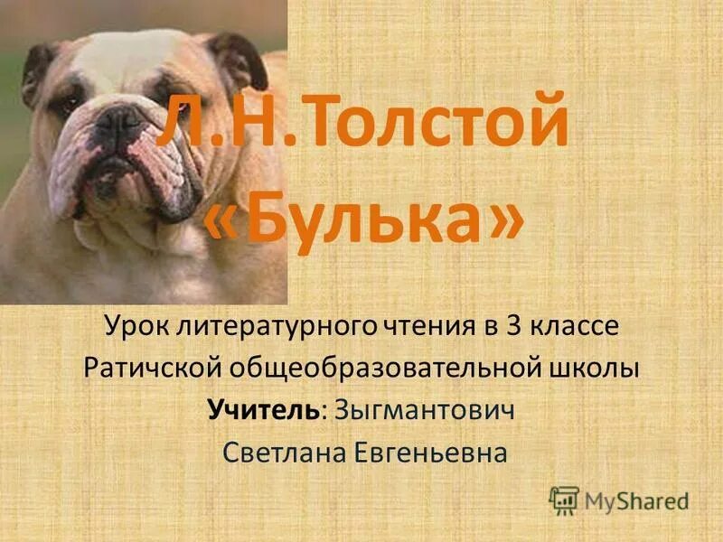 Кличка булька