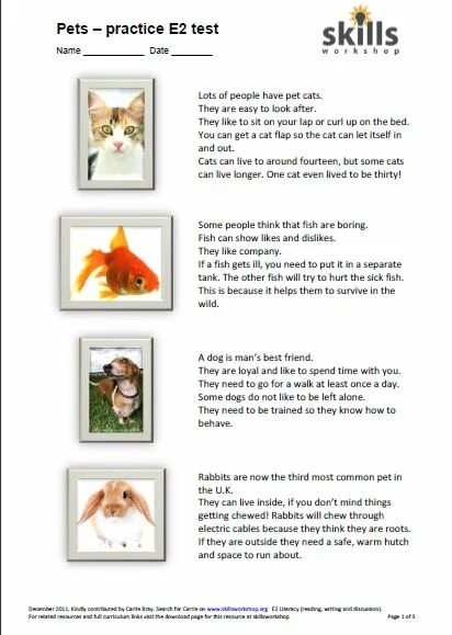 Write about a pet. Reading about my Pet. Pets reading for Kids. Dogs Worksheets. Cat and Dog Worksheet.