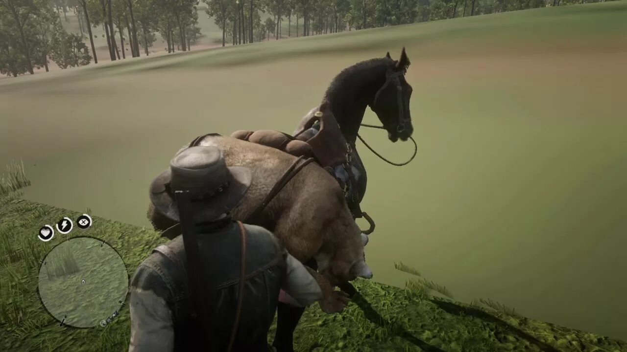 Рдр 2 гуарма как попасть. Рдр 2 остров гуарма. red dead redemption 2 гуарма. rdr 2 guarma map. гуармой в rdr 2.