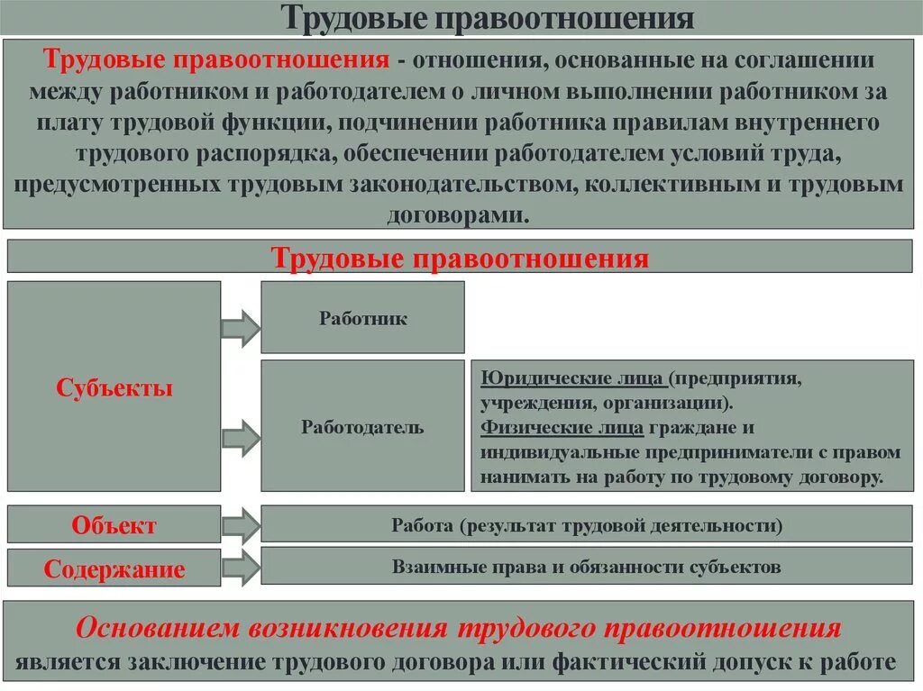 Понятие и содержание трудовых правоотношений