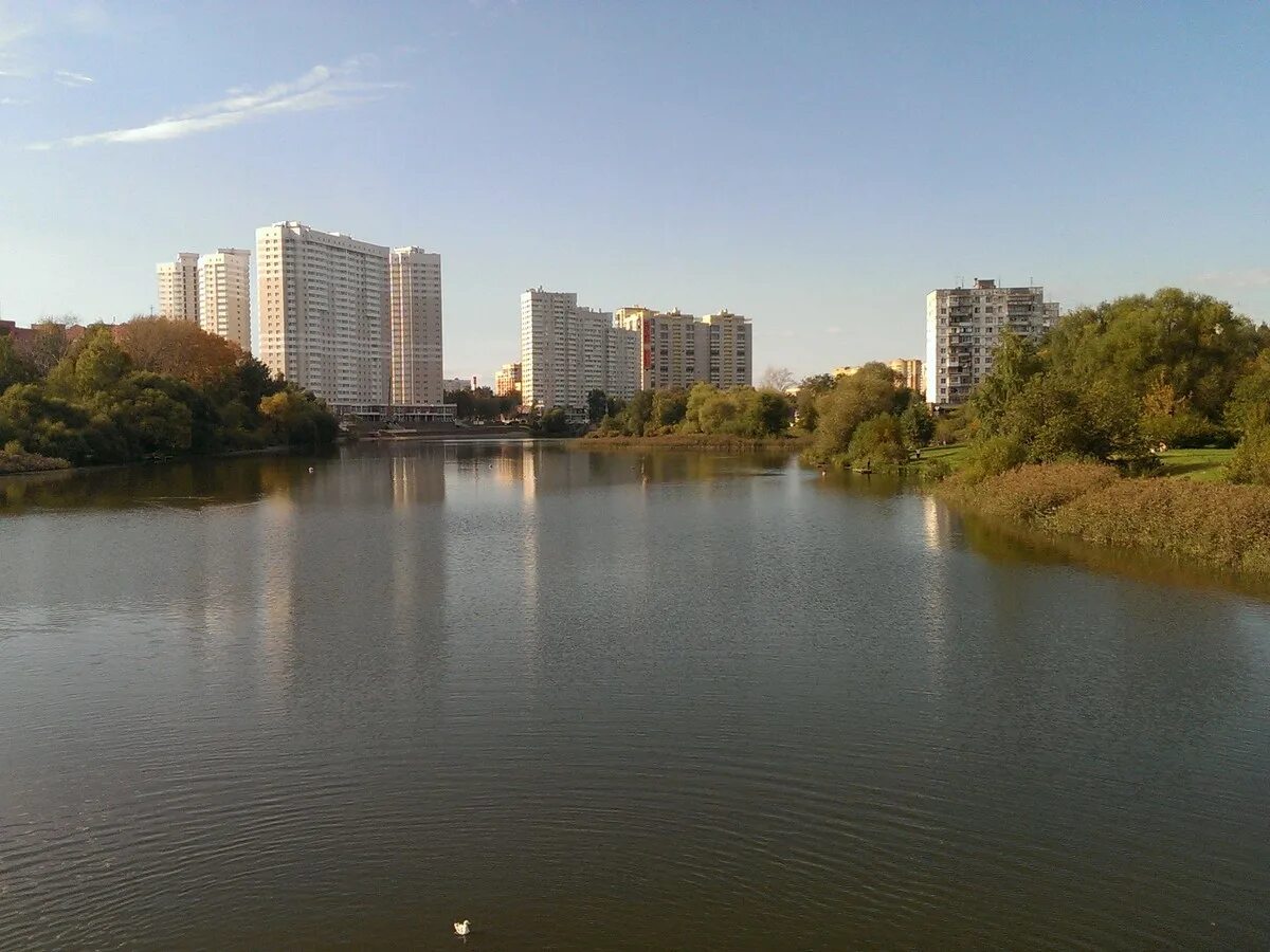 Река Серебрянка в Пушкино. Речка Серебрянка в Пушкино. Пушкино Серебрянка реаа. Река Серебрянка Реутов.