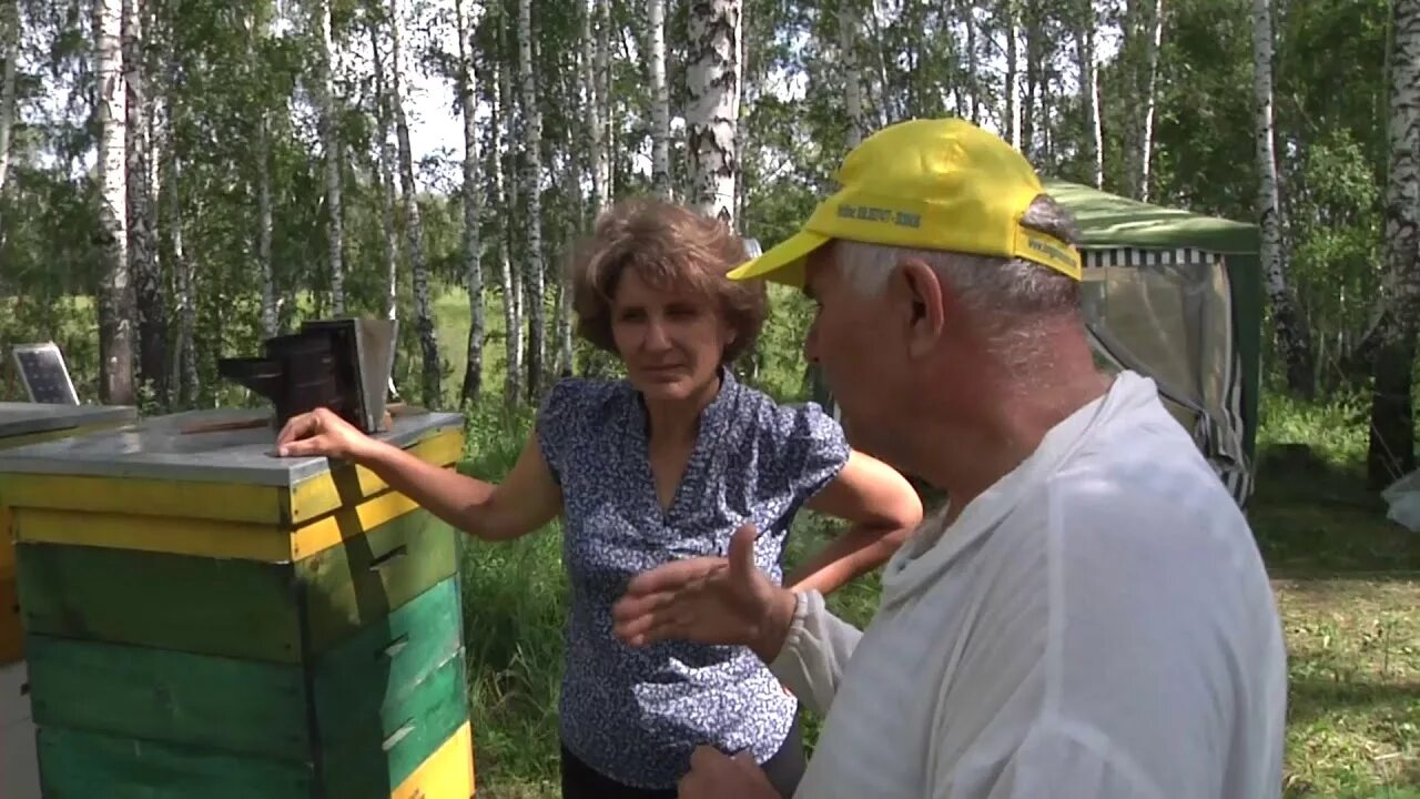 Пчеловоды новосибирска