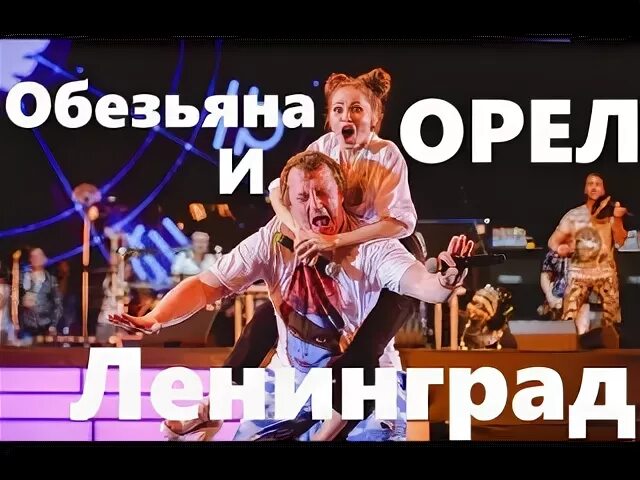 Обезьяна и Орел Ленинград. Ленинград обезьянка. Группа Ленинград Орел и макака. Группа Ленинград она макака по знаку зодиака.