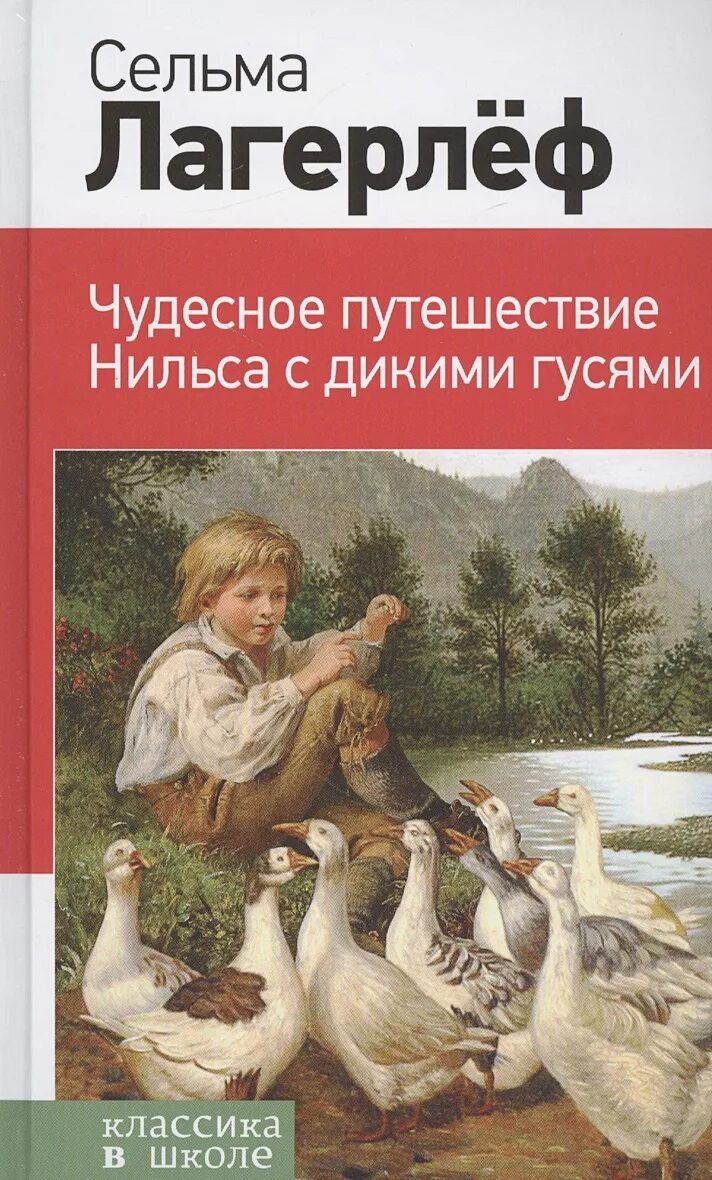 Сельма лагерлёф «чудесное путешествие Нильса». Сельма Лагерпеф « чудесное путешествие». Сельма Лагерлеф чудесное путешествие с дикими гусями. Автор нильса с дикими