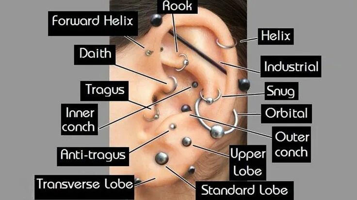 Пирсинг ушей названия и фото 10 популярных идей на тему "cartlidge piercings" для вдохновения