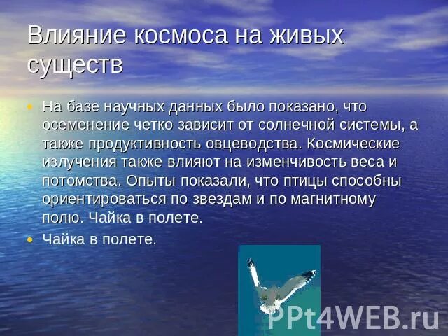 Сообщение влияние космоса на землю и человека. Влияние космоса на живые организмы. Как космос влияет на человека. Влияние космоса на здоровье человека. Влияние космоса на землю 5 класс.