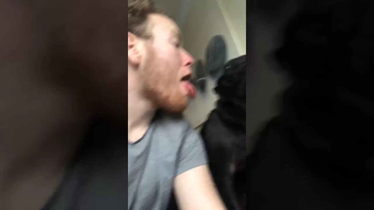 Перископ пес. Собака лижет в перископе. Собака лижет в прямом эфире. Periscope собака лижет. ANASTASIAJUST Перископ собака