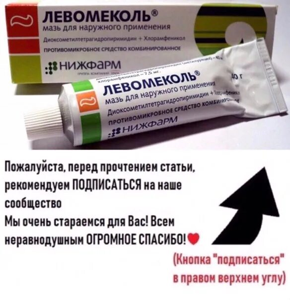 Левомеколь. Срок годности левомеколя. Левомеколь где срок годности. Срок годности Левомеколь мазь.