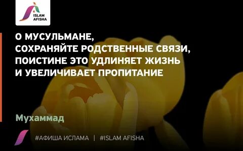 Родственные узы