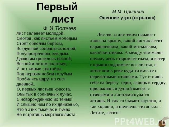 Стихи тютчева 1. Тютчев первый лист. Стих первый лист. Тютчев первый лист стихотворение. Стих Тютчева 1 лист.