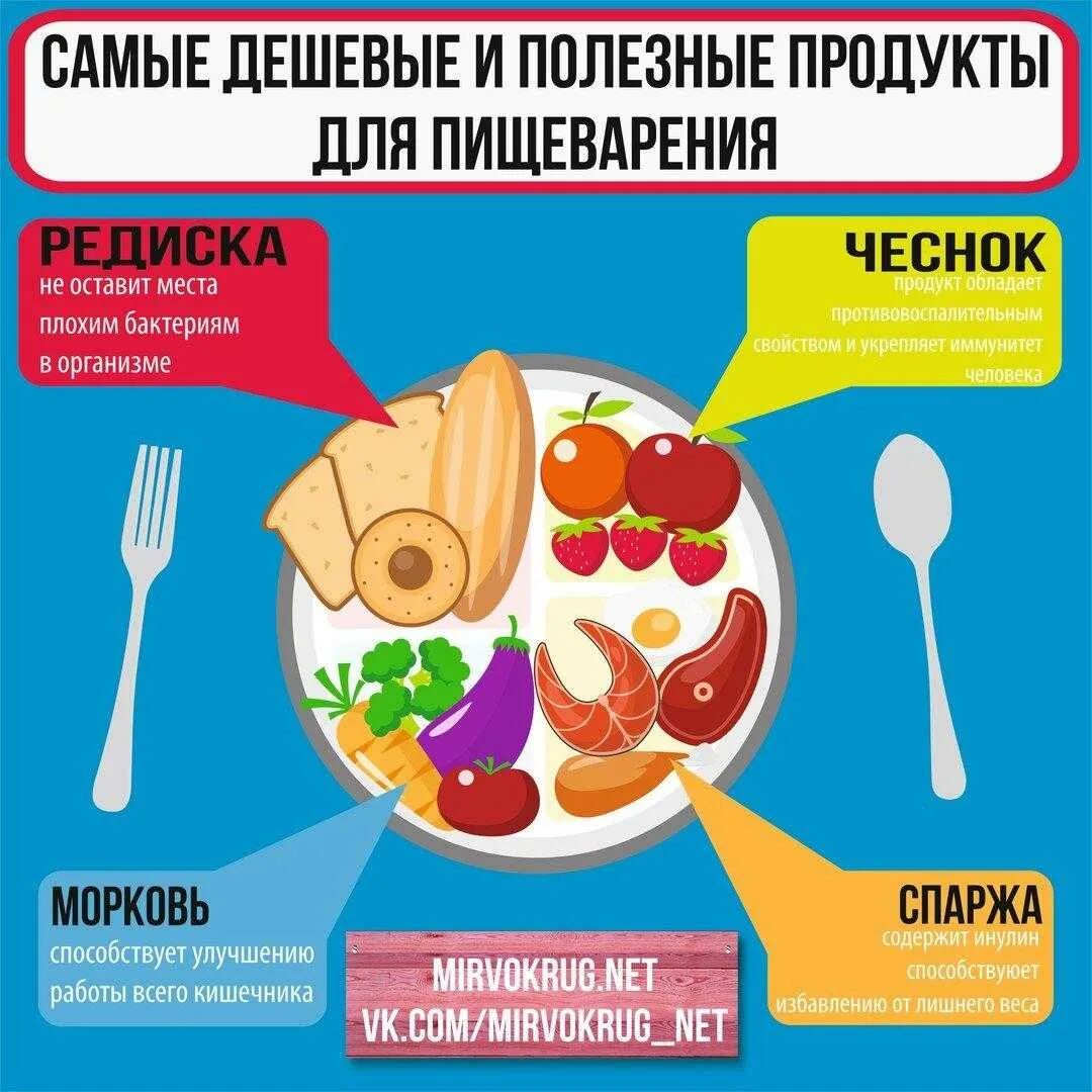 Список полезного питания. Полезные продукты для хорошего пищеварения. Полезная еда для желудка. Полезные продукты для пищеварения и желудка. Полезные продукты для кишечника.