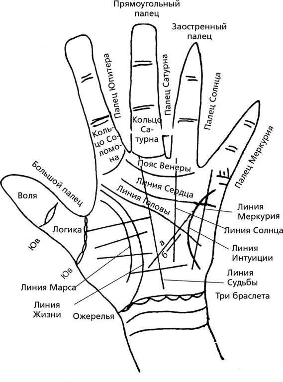 Хиромантия схема линий на руке. Схема ладони в хиромантии. Рука хиромантия схема. Хиромантия линии на ладони расшифровка.