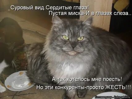 Суровый тип