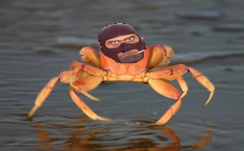 Юре крабу