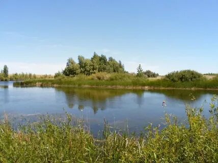 Водоем новое