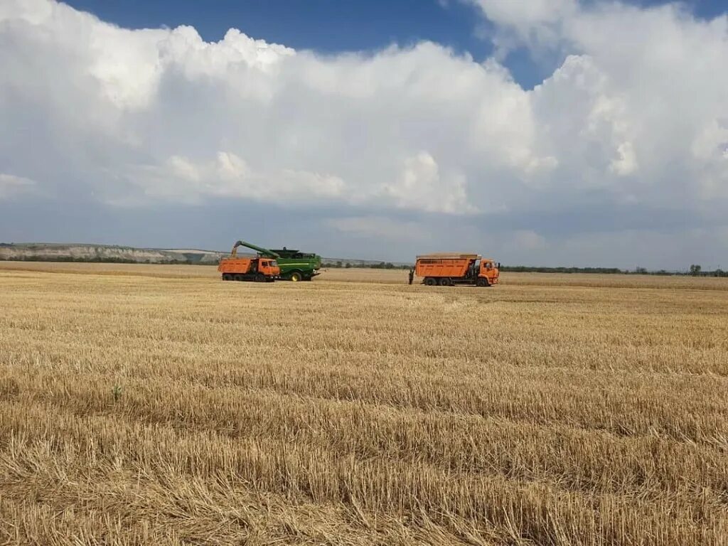 ооо плодородие лукоянов. пристенская зерновая компания мираторг техника. когда начинается уборка урожая. уборка урожая. агро-инновации семинар.