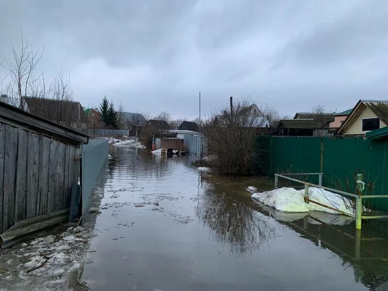 Паводок брянск 2023 радица крыловка. Петровск паводок саратов. Разлив радица брянск 2023. Наводнение фото. Высокие большие наводнения.