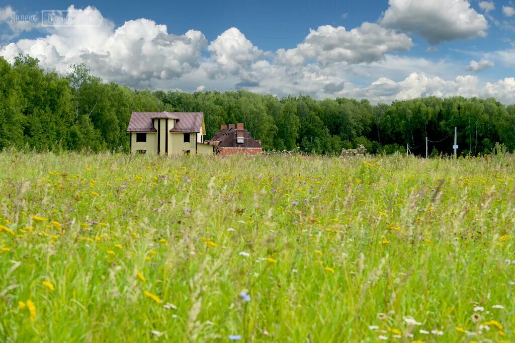 поселок лесное озеро шаховская. дачный поселок лесной московская. дачный поселок лесной московская. лесные озера коттеджный поселок владимирская область. андрейково лесное дмитровский.
