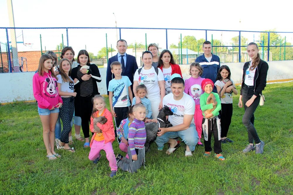 детский дом 4 сайт. детский дом 4 сайт. сайт дди4 г. 4 детдом в волгограде. детский дом 4 сайт.