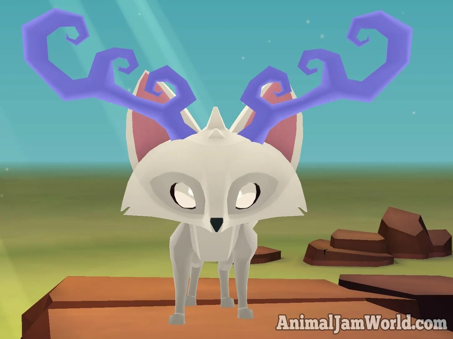 Animal jam play