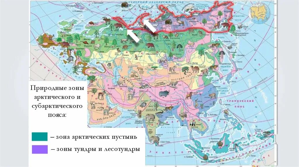 Карта природных зон Евразии. Субарктического пояса Евразии природная зона. Природные зоны Евразии 7 класс Евразия таблица. Природные зоны Евразии презентация.