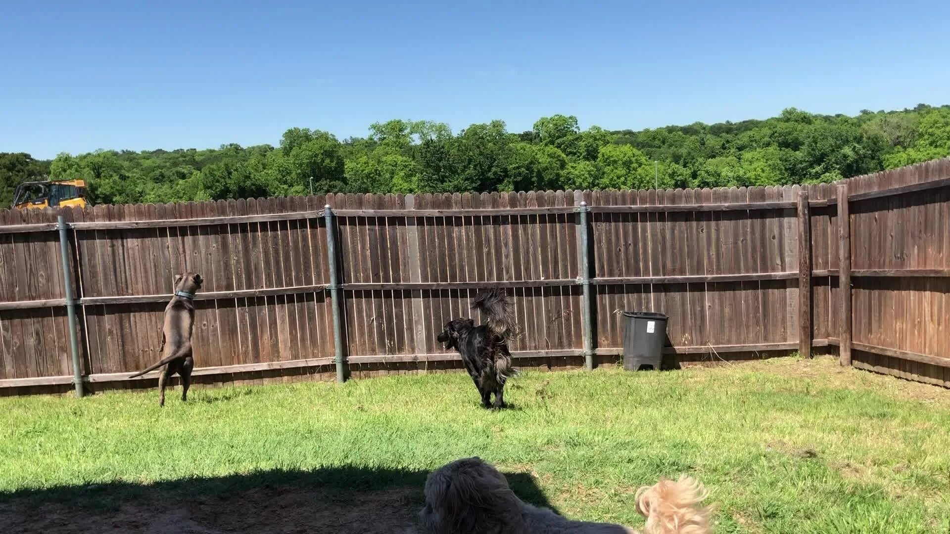Jump over the fence