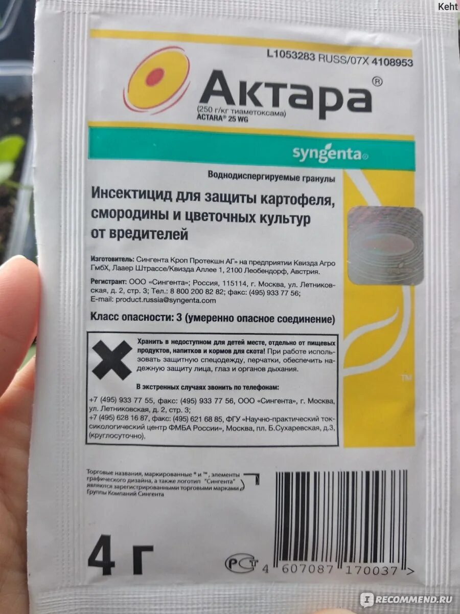 Syngenta актара отзывы. Актара от трипсов. Актара для комнатных растений. Актара от щитовки на комнатных растениях. Syngenta Хорус и Актара весной.