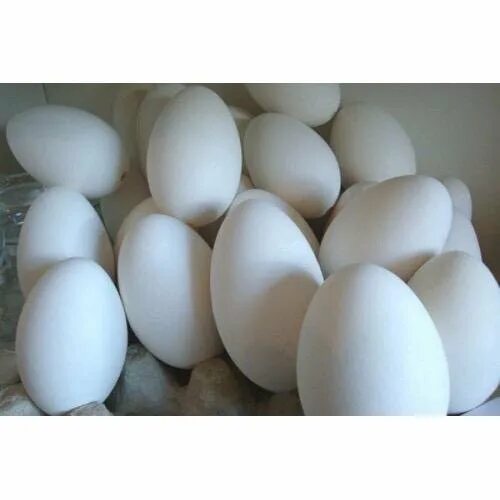 Гусиные яйца для инкубации купить. Яйцо гусиное инкубационное.